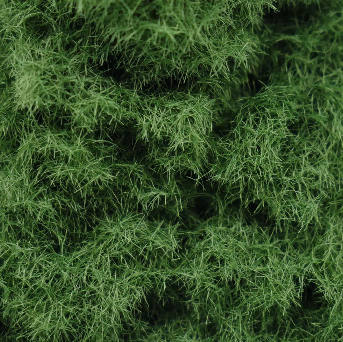 GM1324 Marsh Soil 2.5mm Scatter Grass 30g - Image 2