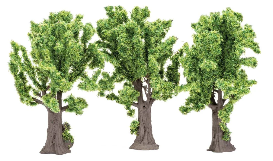 R7203 Maple Trees