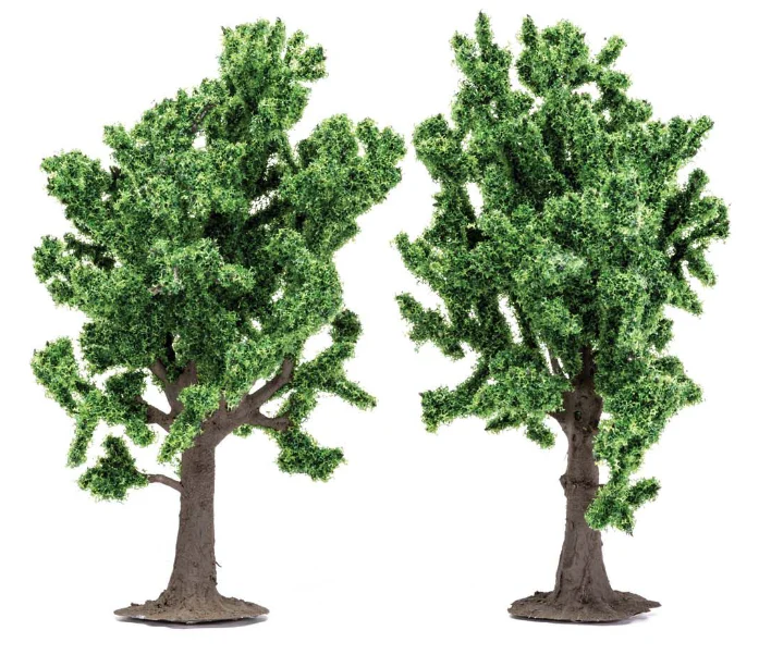 R7204 Beech Trees