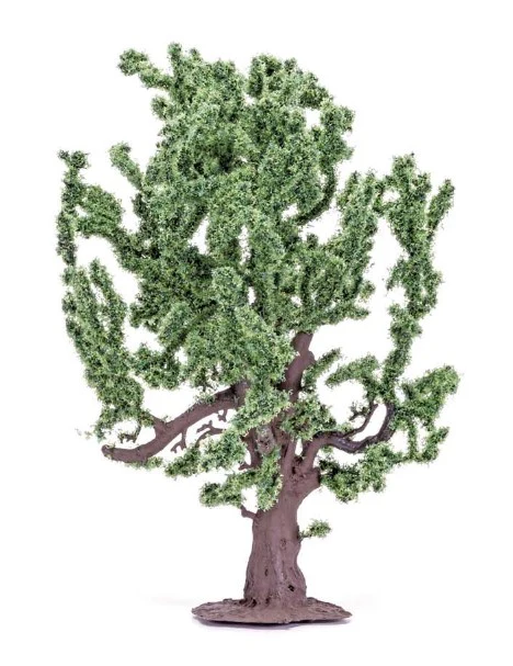 R7209 Oak Tree