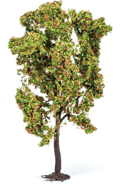 R7216 Rowan Tree with Berries