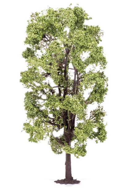 R7221 Lime Tree