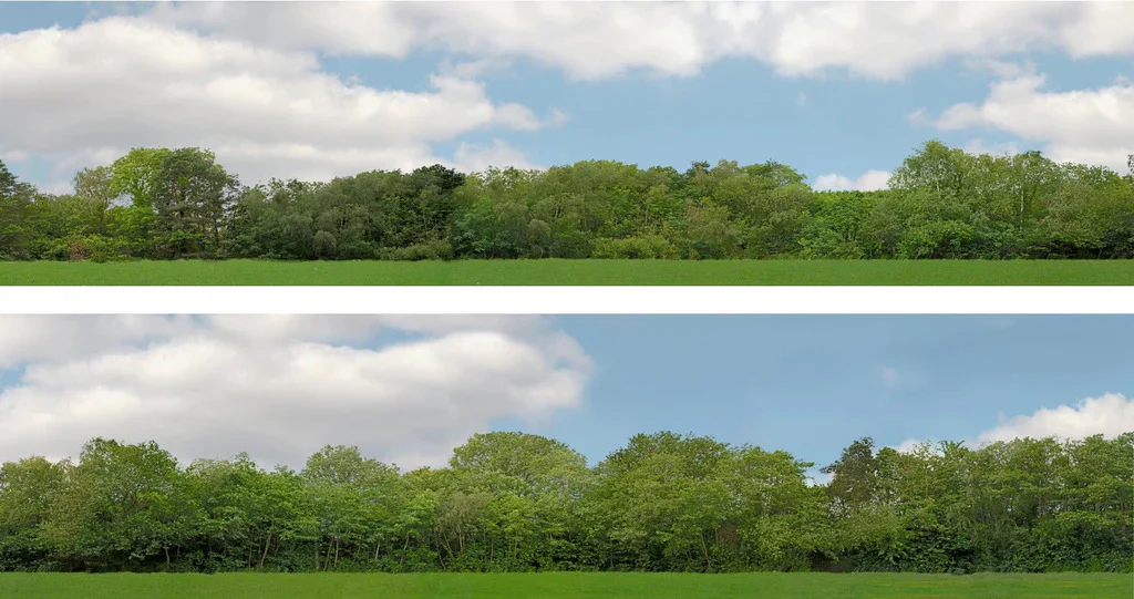 95400 Art Printers Trees OO Gauge 15" High Backscene