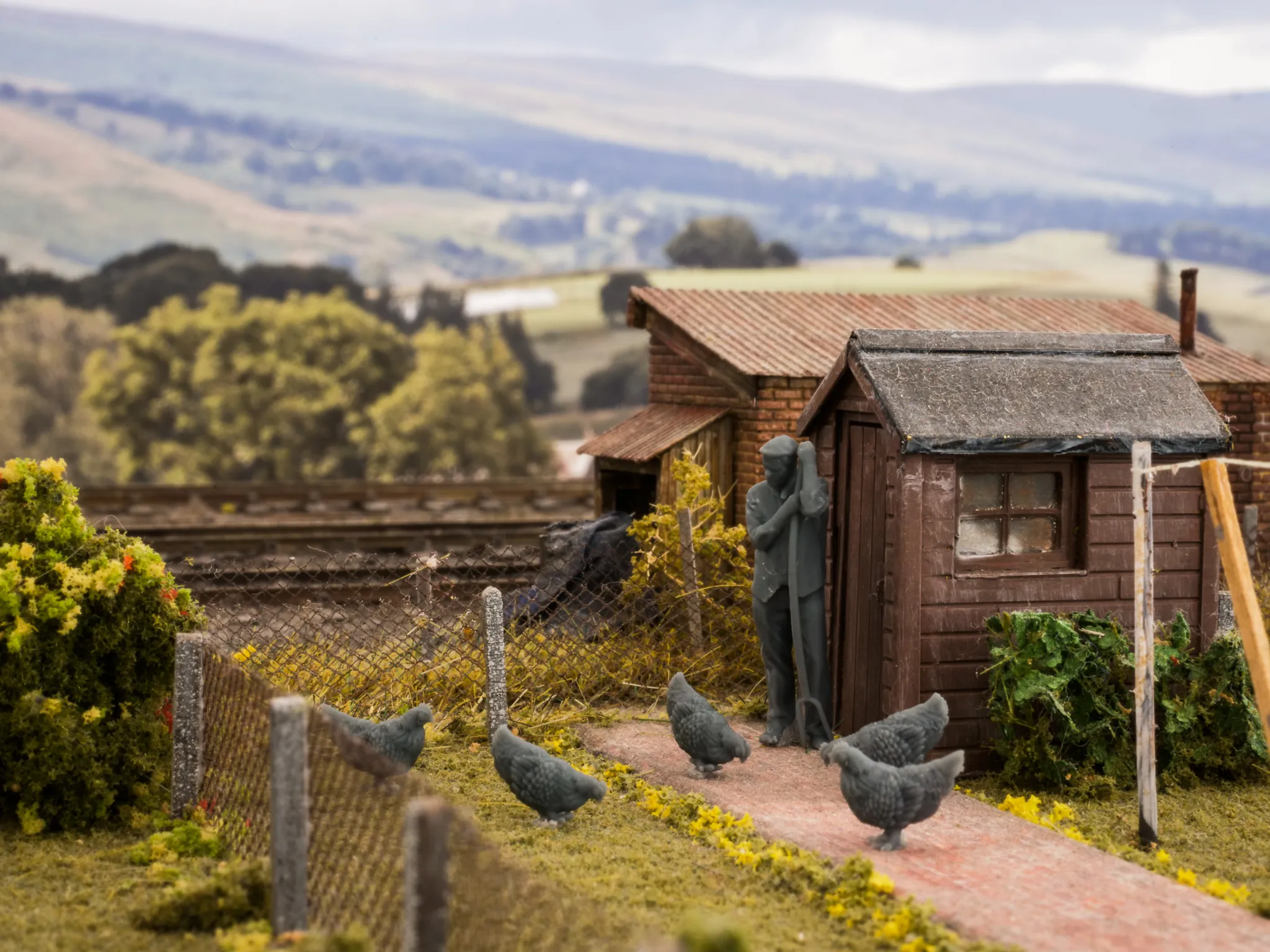 31280-076 OO Gauge Pets, Wildlife & Livestock - Chickens - Pack of 5 - Image 2