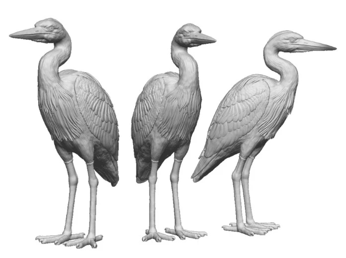 31405-076 OO Gauge Pets, Wildlife & Livestock - Herons - Pack of 3