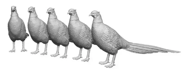 31406-076 OO Gauge Pets, Wildlife & Livestock - Pheasants - Pack of 5
