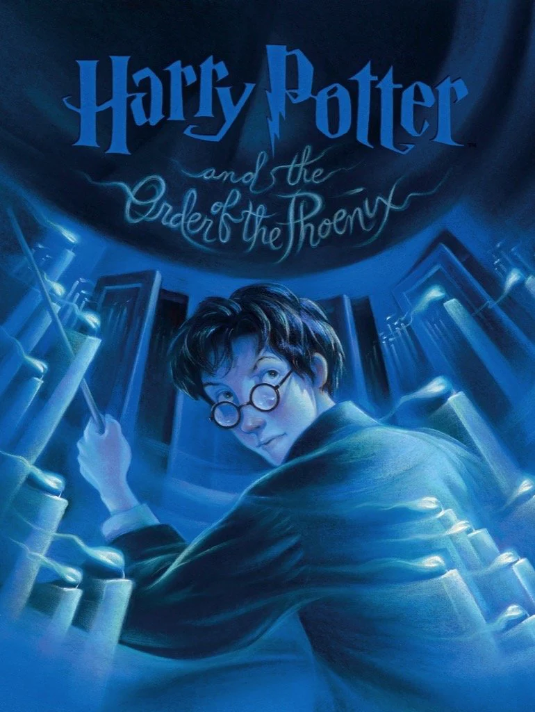 NPZHP1605 Harry Potter "Order Of The Phoenix", 1000 Piece Jigsaw Puzzle - Image 2