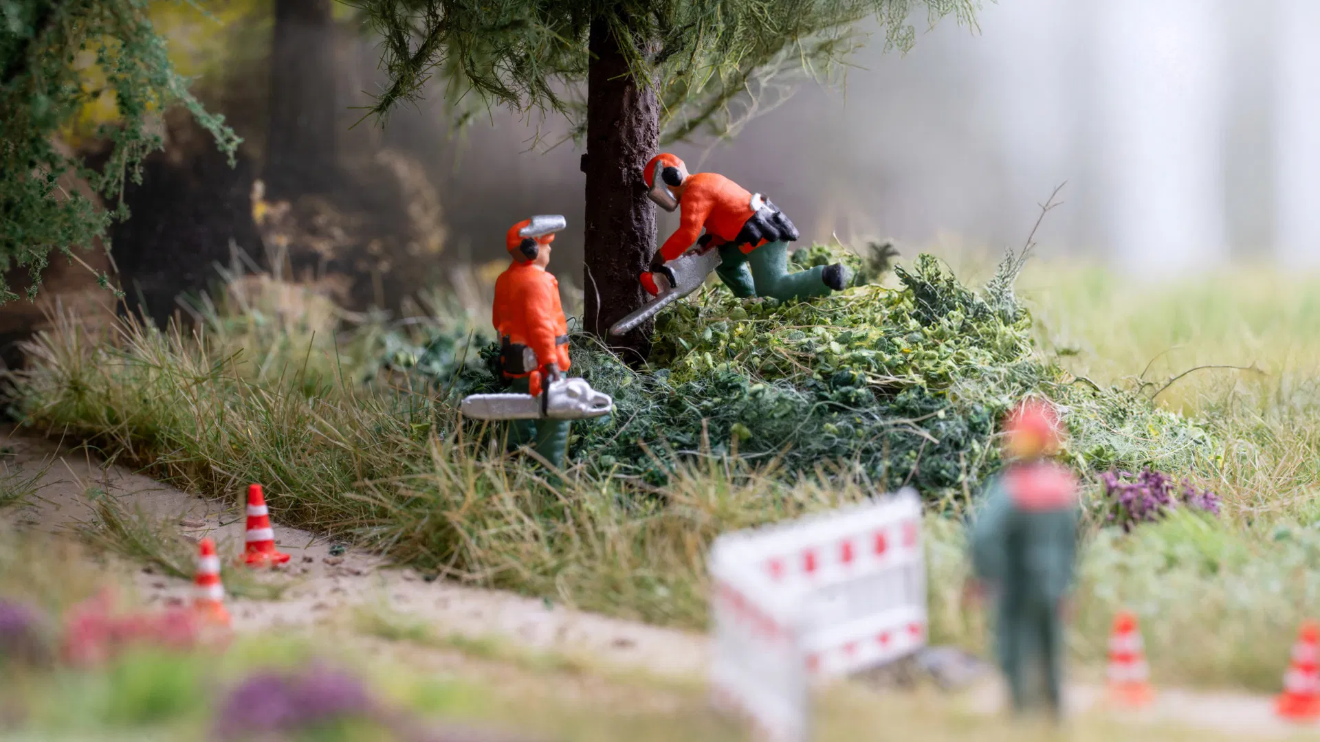 N12845 Felling Trees Sound Scenes 2.0 Module - HO/OO Scale