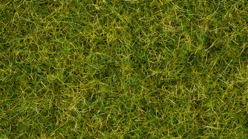 N07072 Summer Meadow Grass Blend (50g)