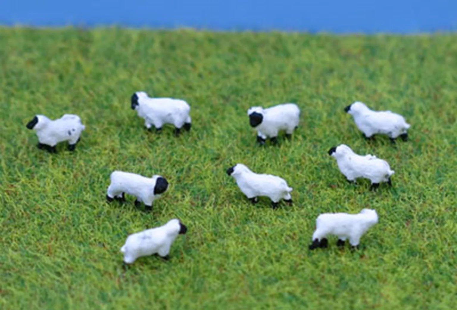 PDC56 N Gauge Sheep - UNPAINTED