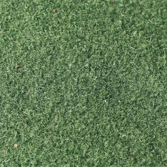 Tasma Grass Mats 00972 Moss Green (85cm x 125cm)