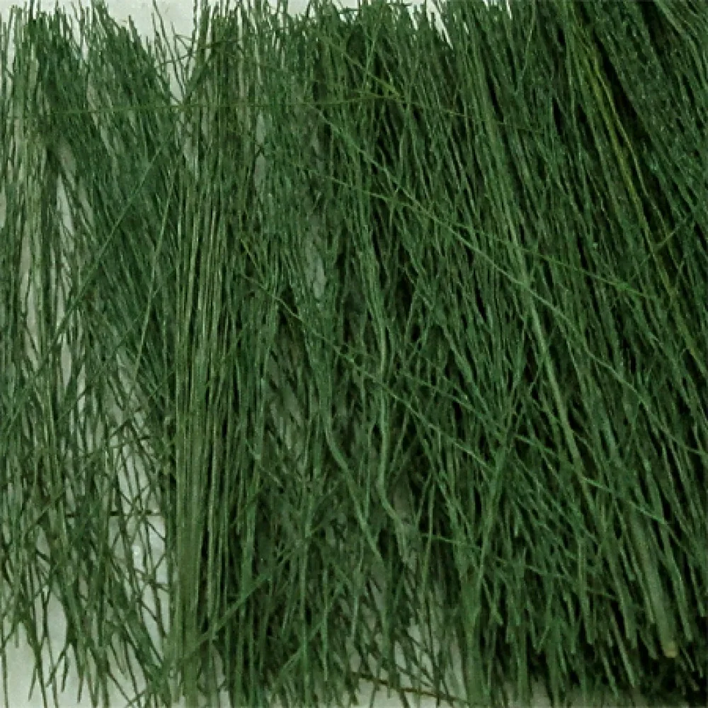 00894 Field Grass Dark Green (15g)
