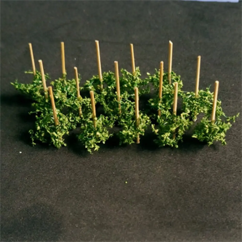 00911 - Runner Beans (14/pack)