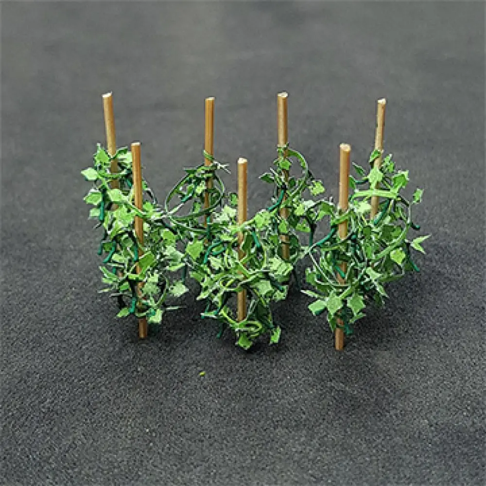 00992 Cucumber (12/pack)