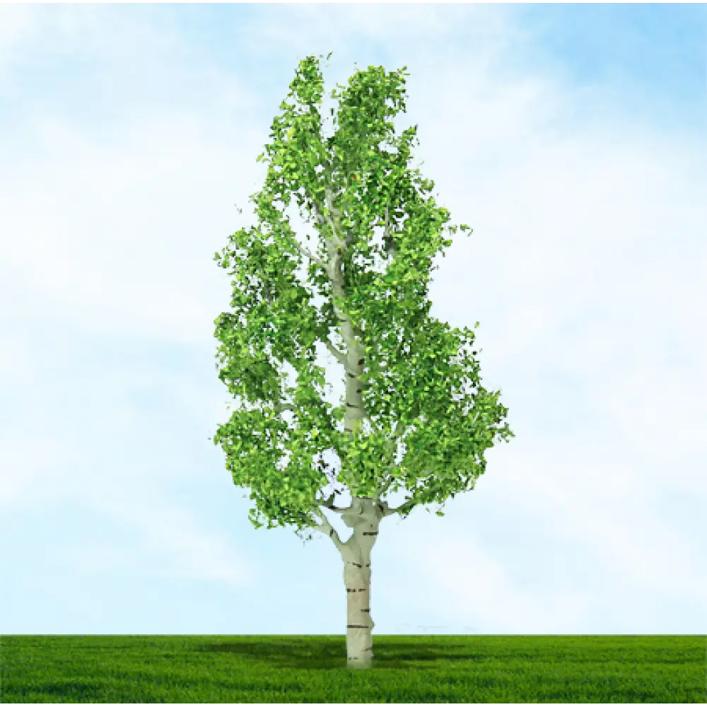003927 Premium Trees 00 Gauge Birch 75/100mm (2/pack)