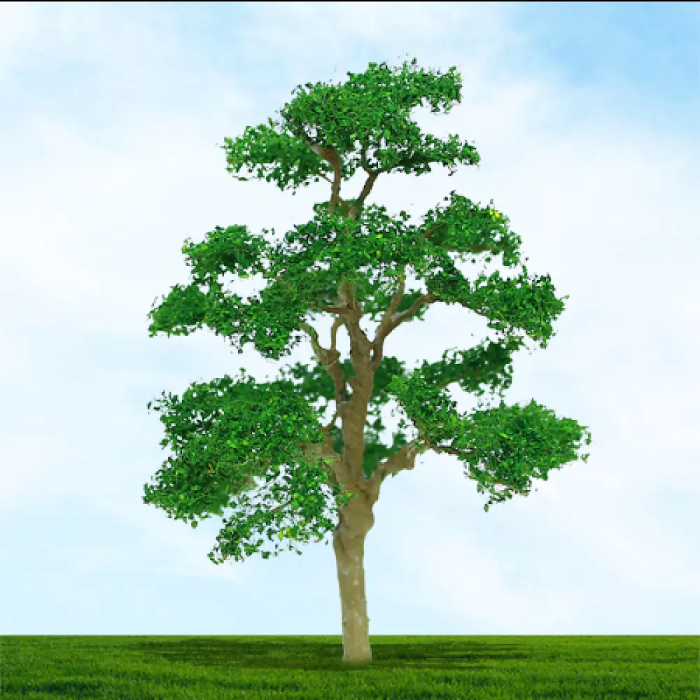 004023 Premium Trees 00 Gauge Elm 75/100mm (2/pack)