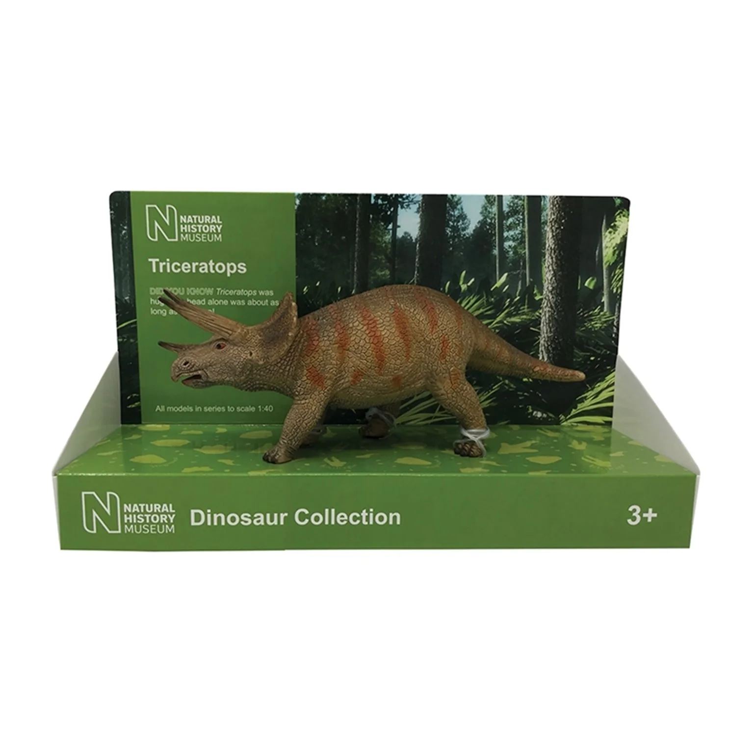 TW29104 Natural History Museum Triceratops - Image 2