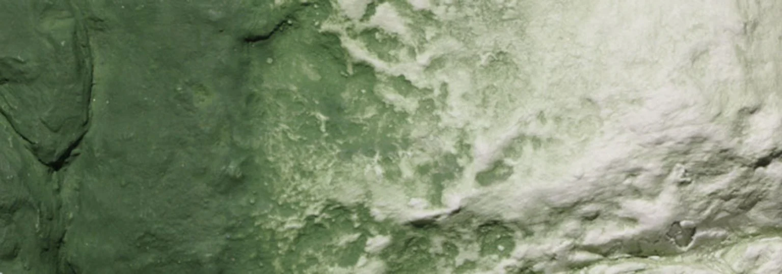 WC1228 C1228 Green Undercoat - Image 3