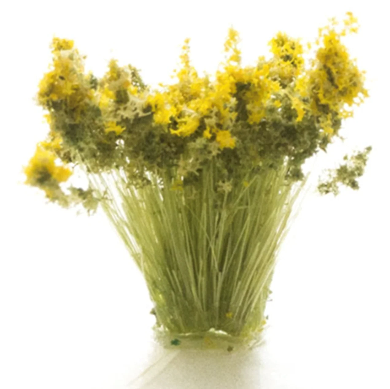 WFS776 FS776 Peel ‘n’ Place Light Green Prairie Grass - Image 2
