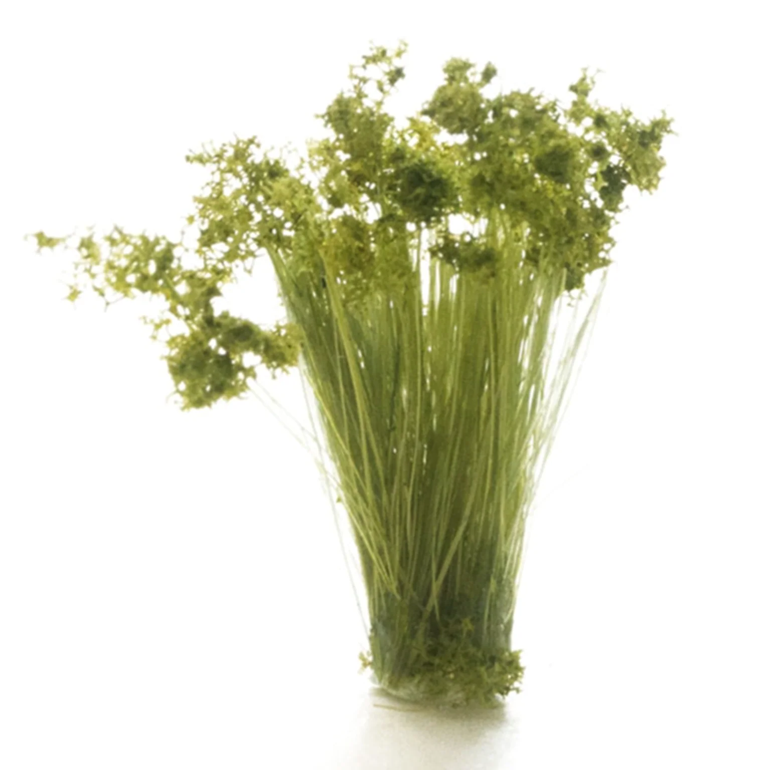 WFS777 FS777 Peel ‘n’ Place Medium Green Prairie Grass - Image 2