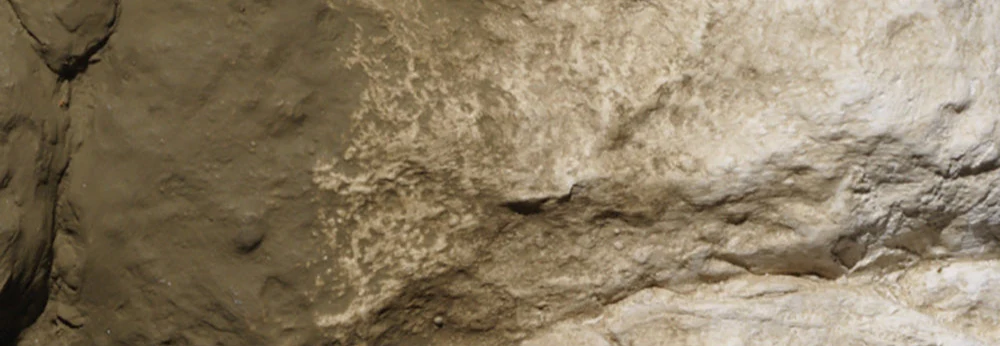 WG6615 All Game Terrain - Earth Base Paint - Image 2