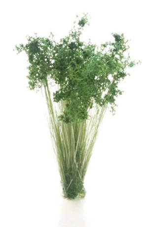 WG6632 All Game Terrain - Dark Green Shrubs Tufts