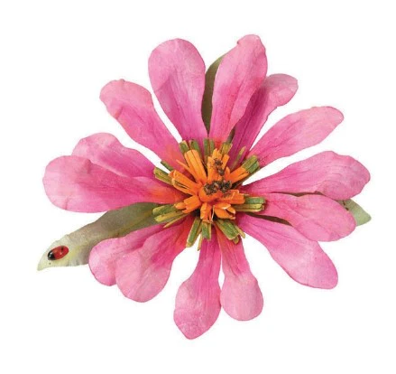 WT4641 T4641 Pollen - Charcoal - Image 2