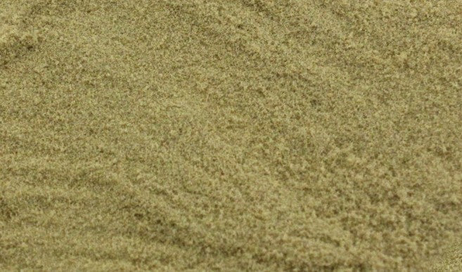 WT4643 T4643 Pollen - Gold