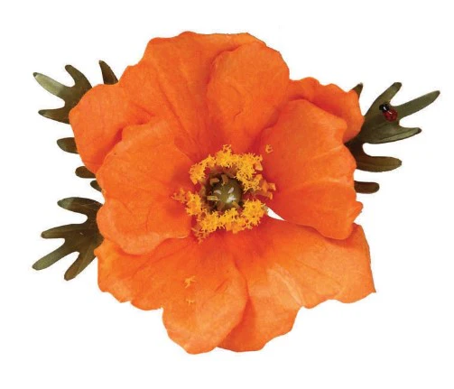 WT4645 T4644 Pollen - Yellow - Image 3