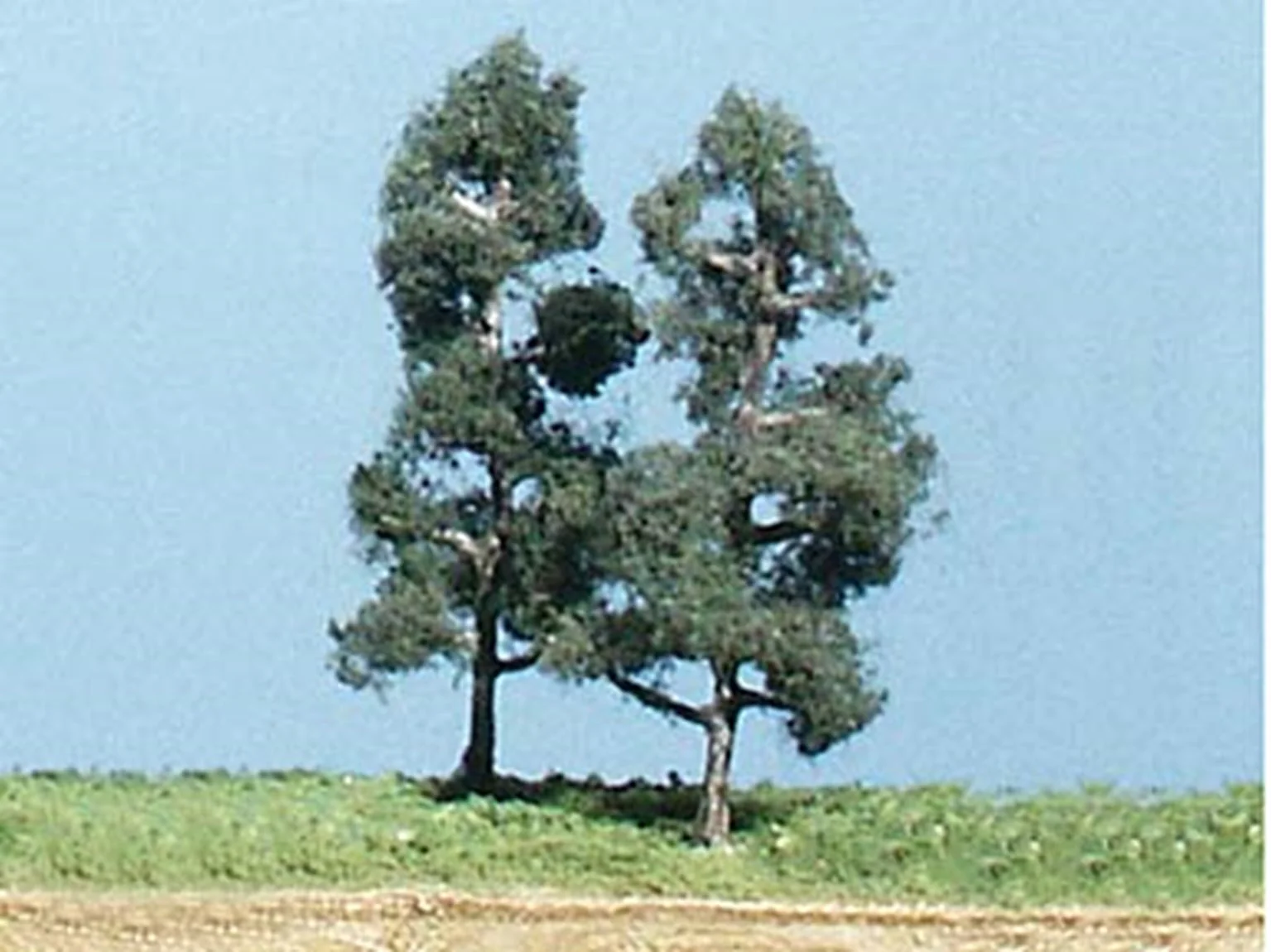 WTK14 Softwood Pine Trees 3 ¼ inch (Pack of 5)