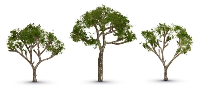 WTR3525 TR3525 Gum Tree 2 1/2” – 3 1/2”