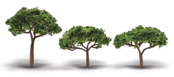 WTR3555 TR3555 2.3"-3.3" Canopy Trees 3/Pkg