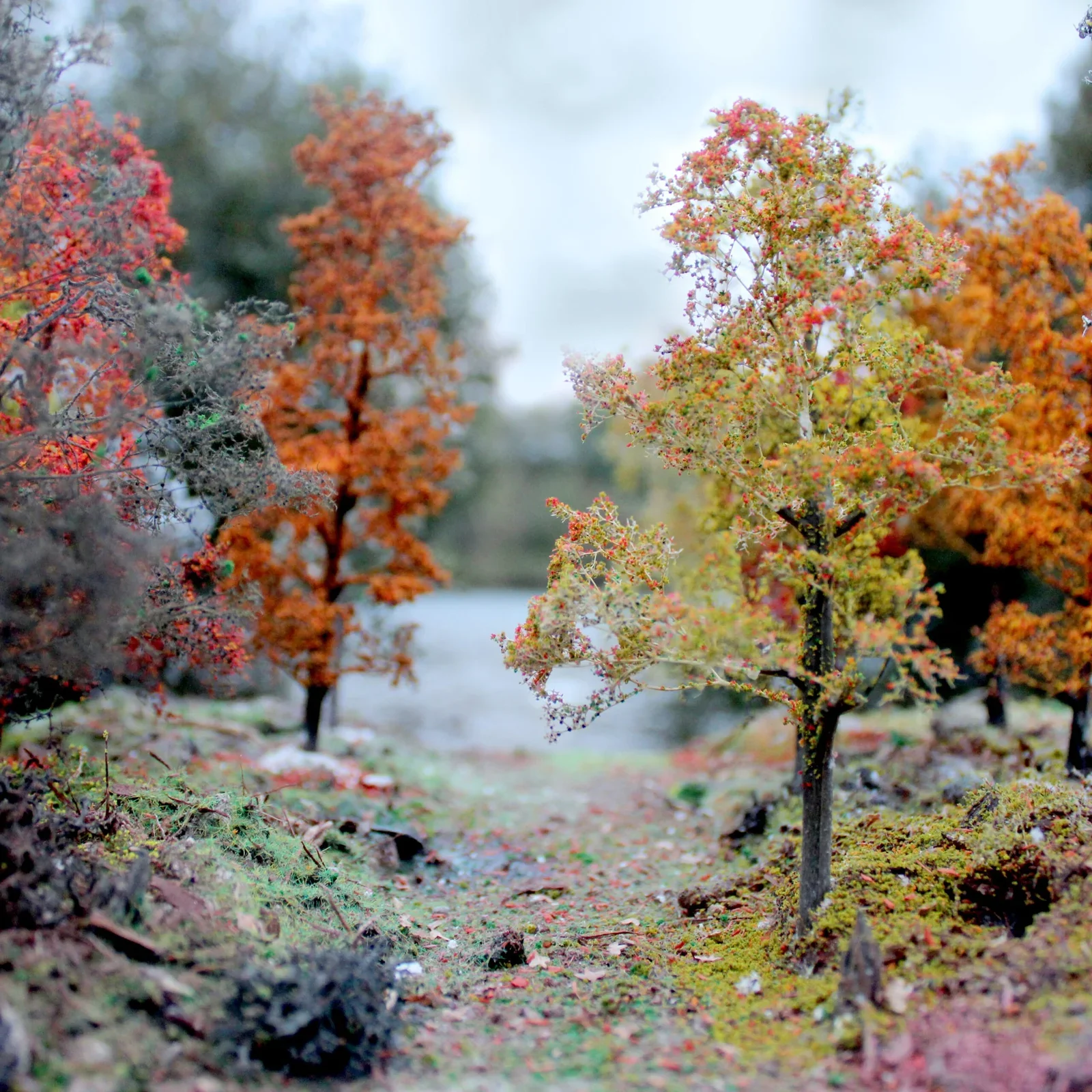 WSLF-061 WWS Autumn Realistic Tree Making Kit - Image 6